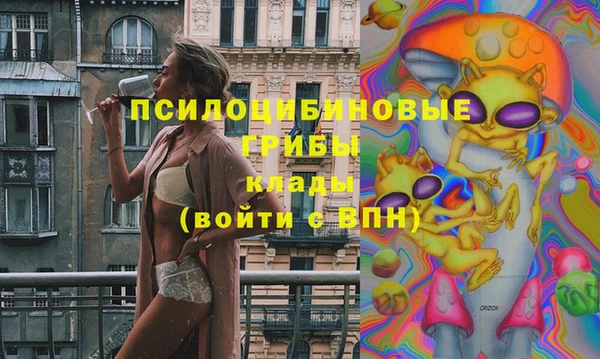 ECSTASY Осинники